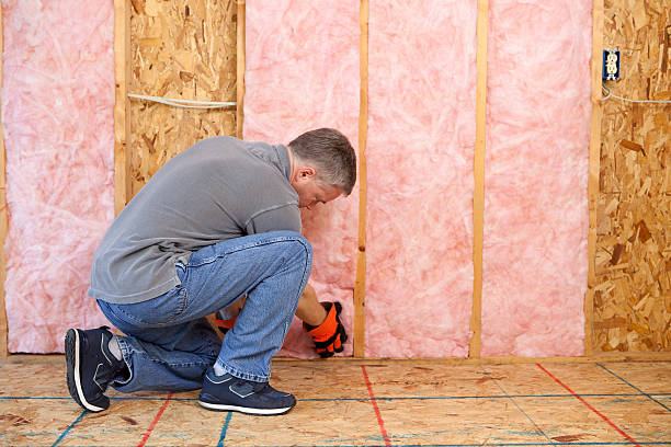 Types of Insulation We Offer in Vancleave, MS